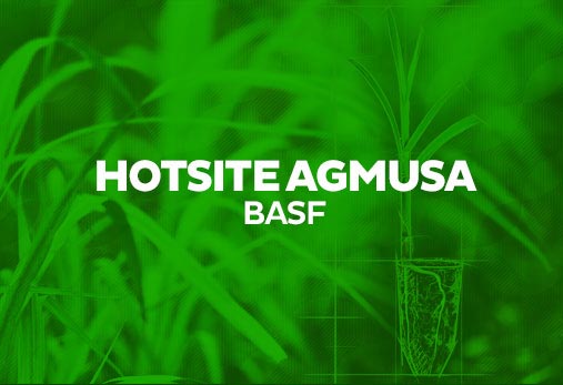 Basf - Agmusa